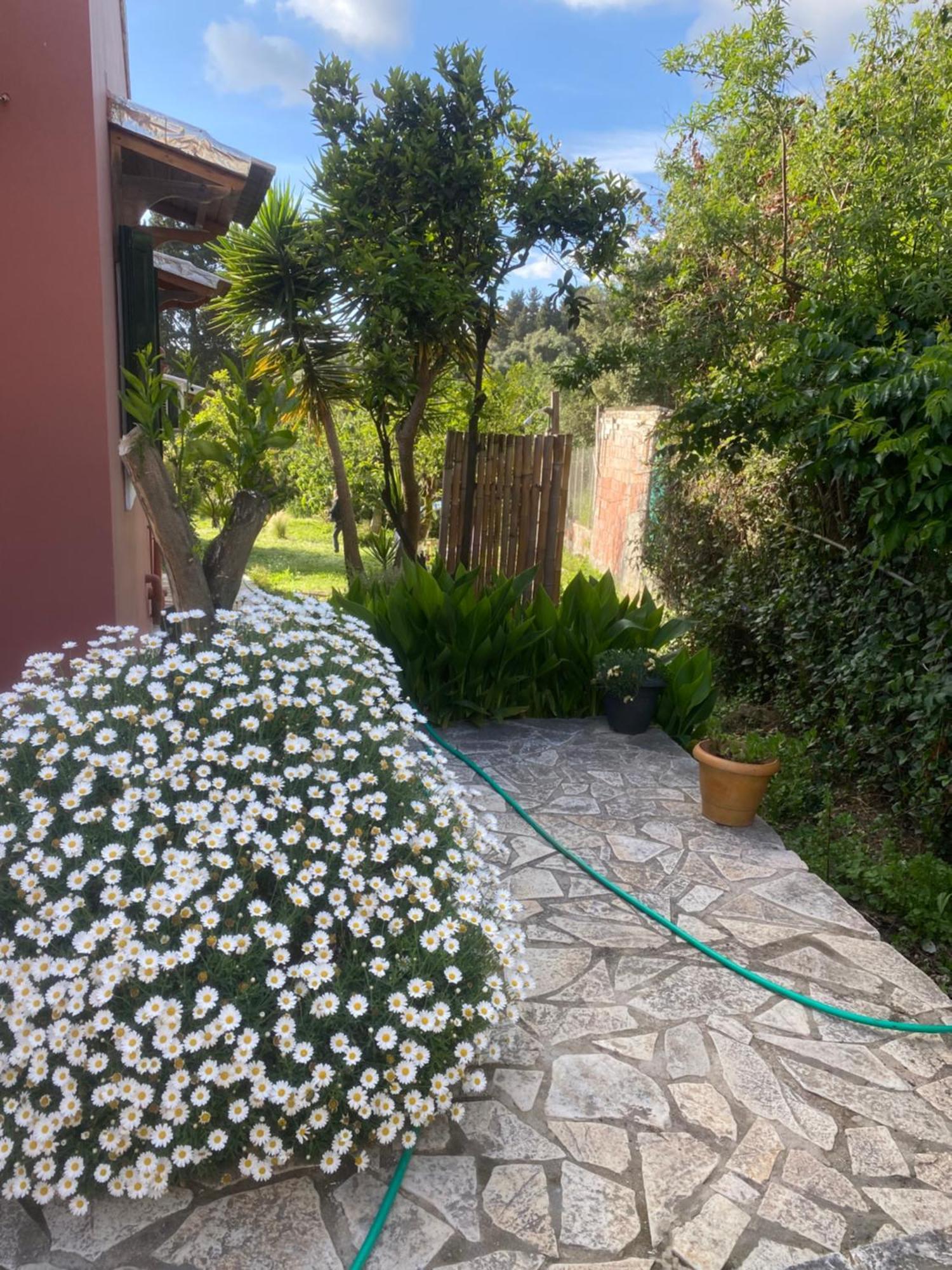 Casa Piccolino Villa Paramonas  Exterior photo